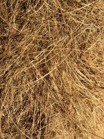 Fibra de Coco Lavada