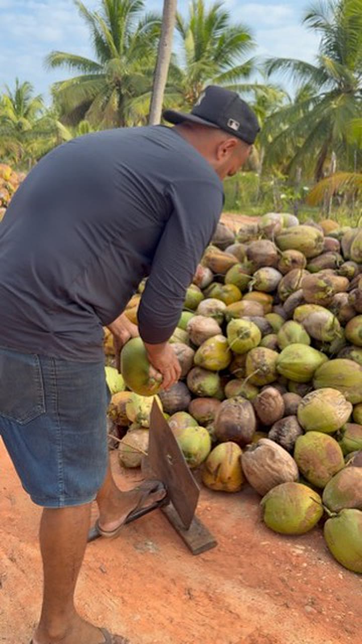 Pessoa descascando coco com uma lâmina fixa