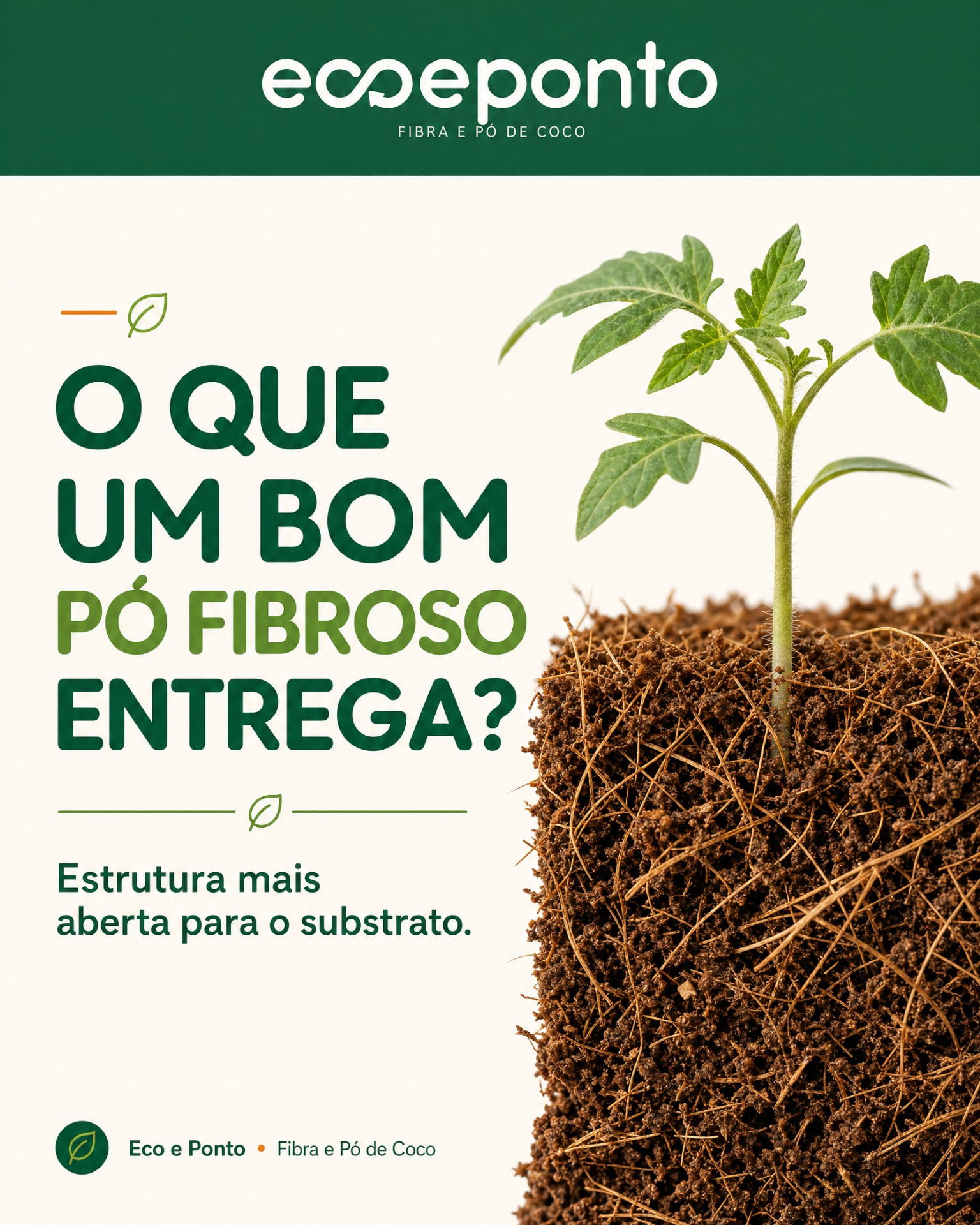 Material da marca Eco e Ponto explicando o que um bom pó fibroso entrega