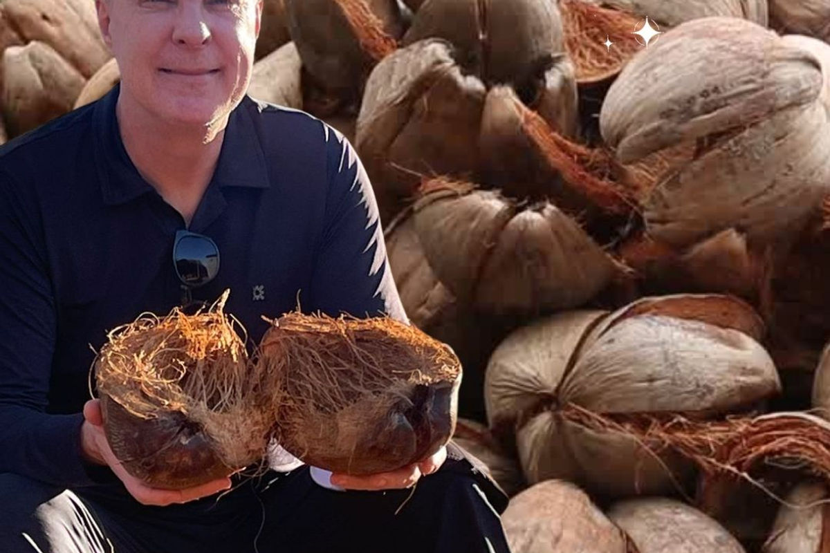 Eco e Ponto: produtora de fibra de coco