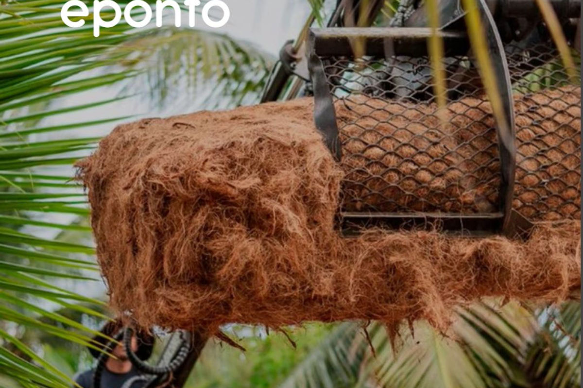 Fibra de Coco no cultivo de Mudas e Hortaliças