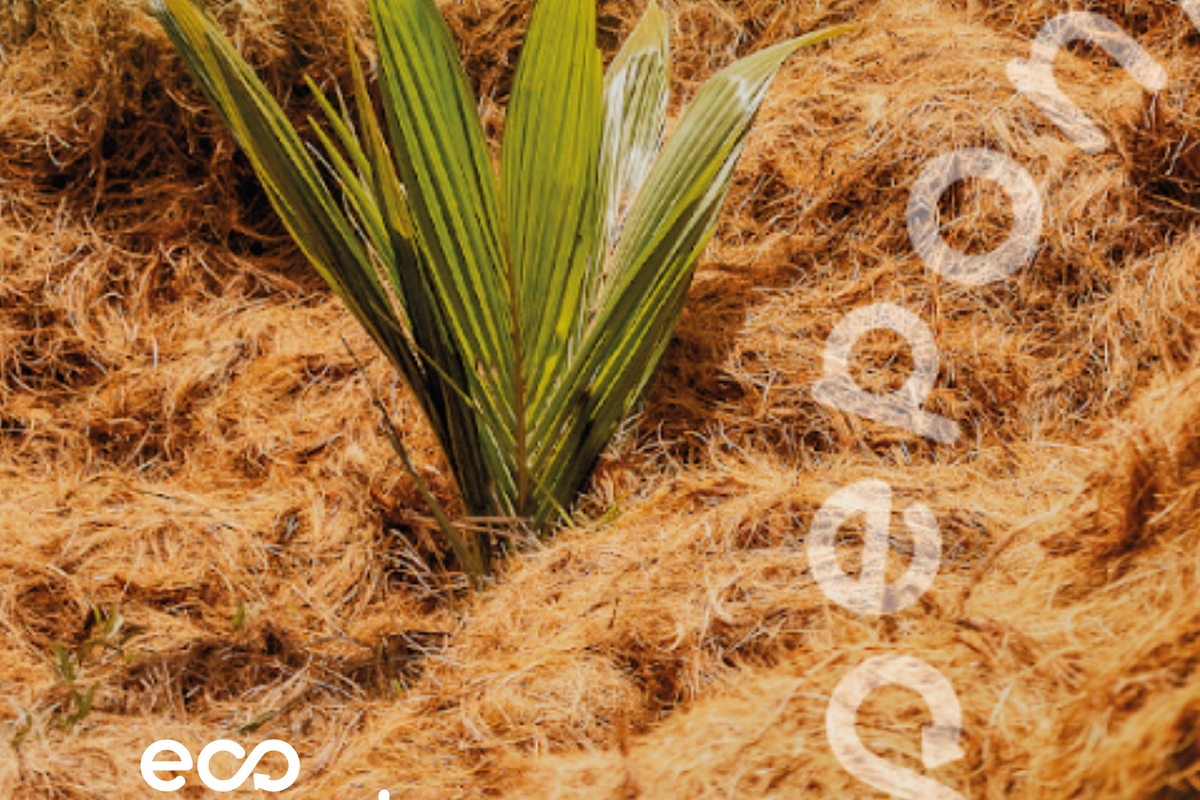 A Fibra de Coco: recurso sustentável e promissor