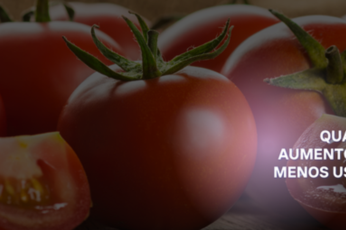 Fibra de Coco no Cultivo de Tomate