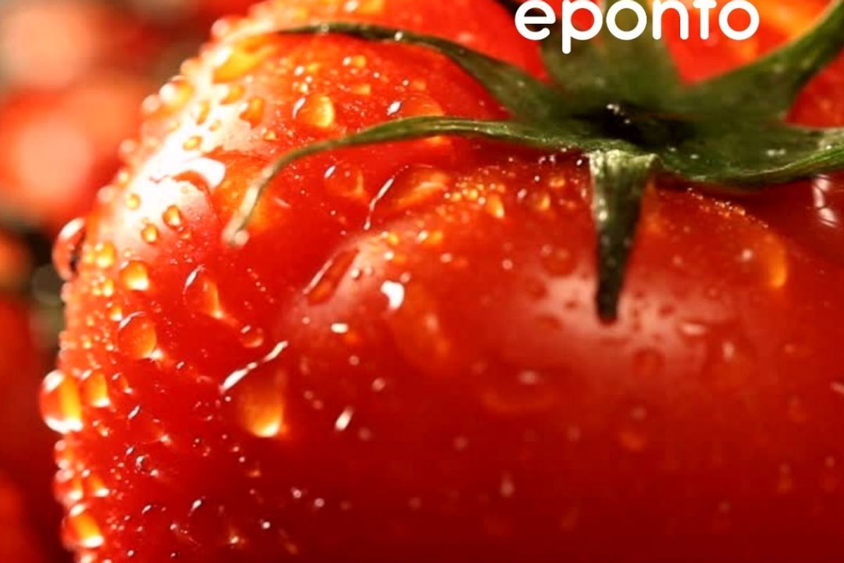 imagem de um tomate maduro e apetitoso, molhado